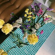 Processed with VSCO with c1 preset